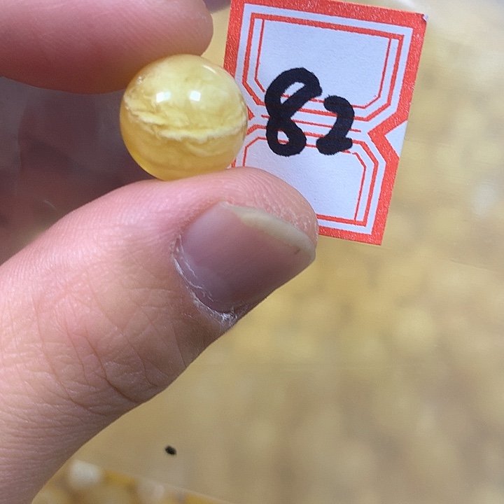 裸石琥珀未镶嵌13.9