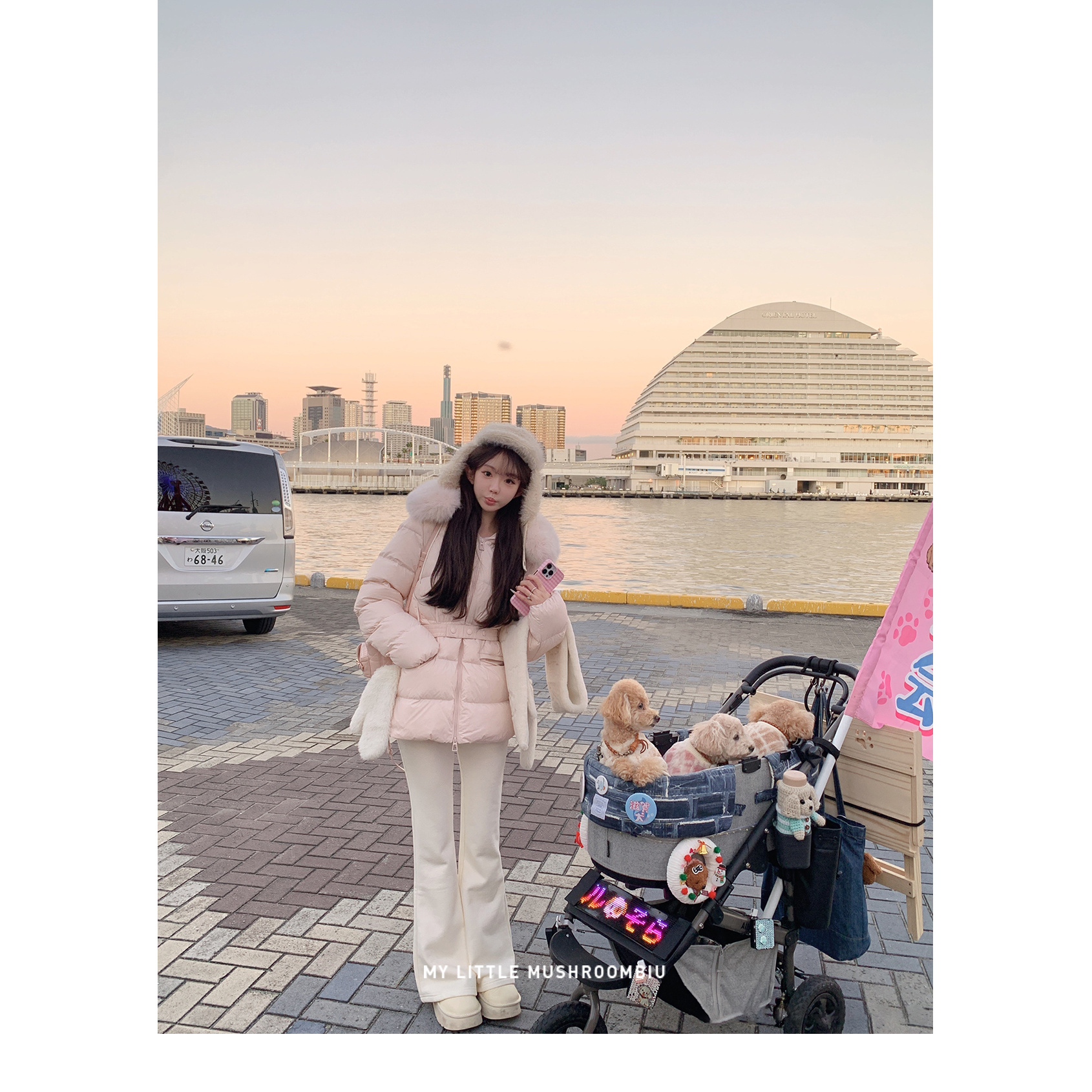 金蘑菇菇 有雪的季节 韩女小蛮腰羽绒/ 三星白绒+定染狐狸毛