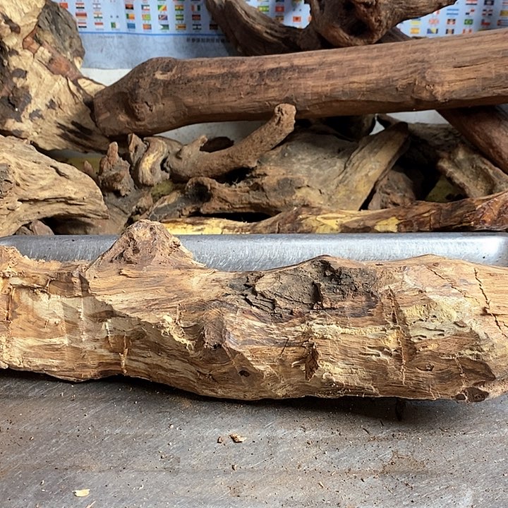 花梨木类穆*特海南黄花梨木