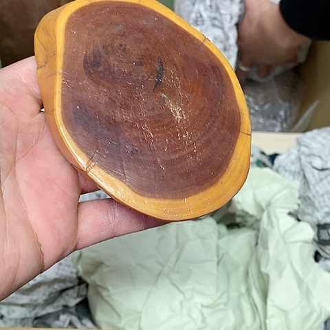 紫砂哈哈哈哈哈哈哈哈