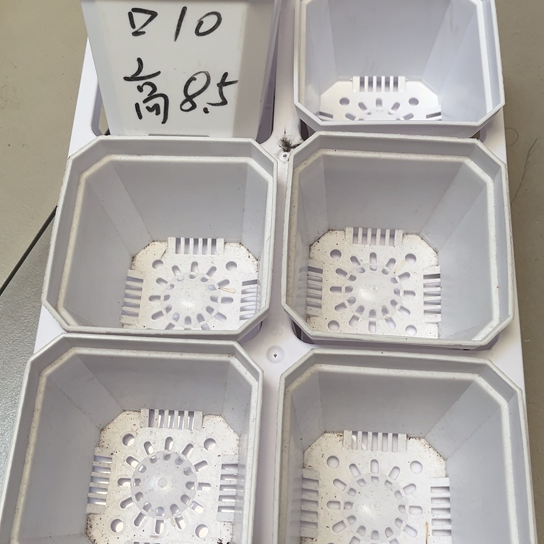 加厚斜角口10高8.5白盆12个带2拖架