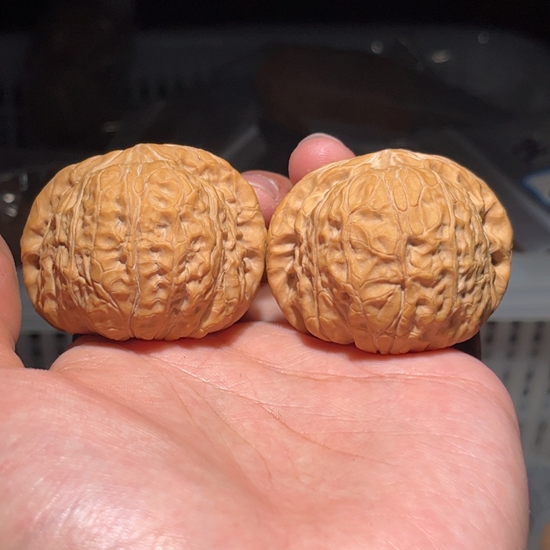 文玩核桃吊坠252南瓜45-43全品