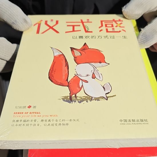 仪式感平装库存书全新