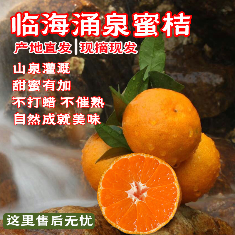 【现摘现发】涌泉蜜桔宫川无核橘子当季新鲜水果特产京东礼盒装送礼