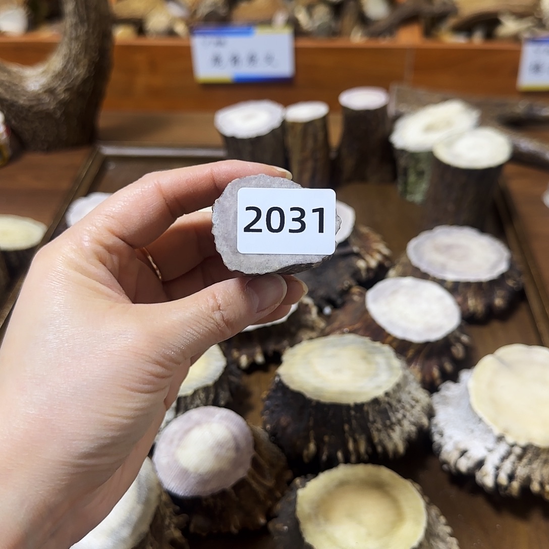 手串/手链鹿骨2031根段