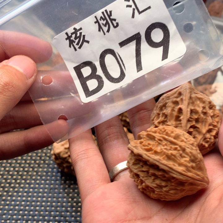 吊坠文玩核桃野生