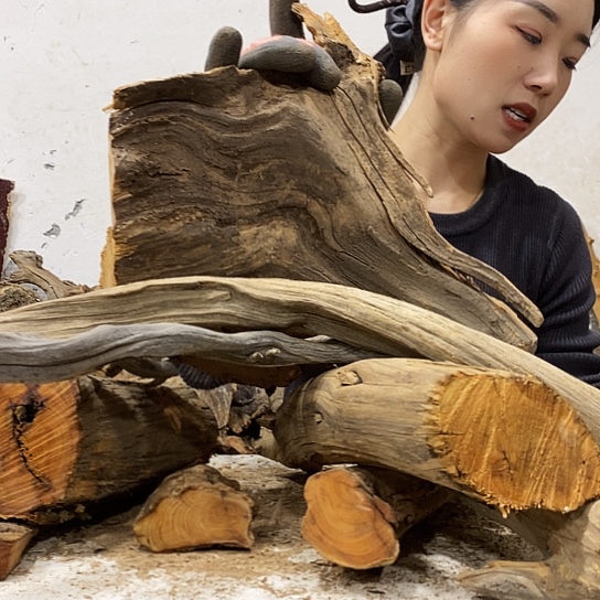 努***力柏木我们都是好孩子