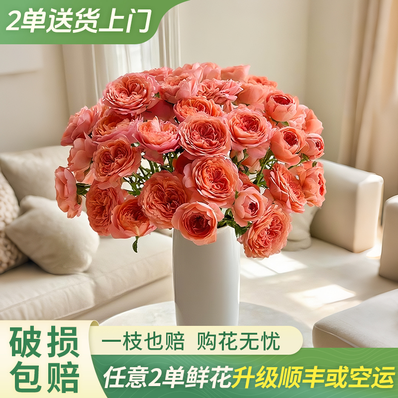 【大聪明卖花】杏色果汁多头玫云南直发鲜花家居水养鲜花花束客厅