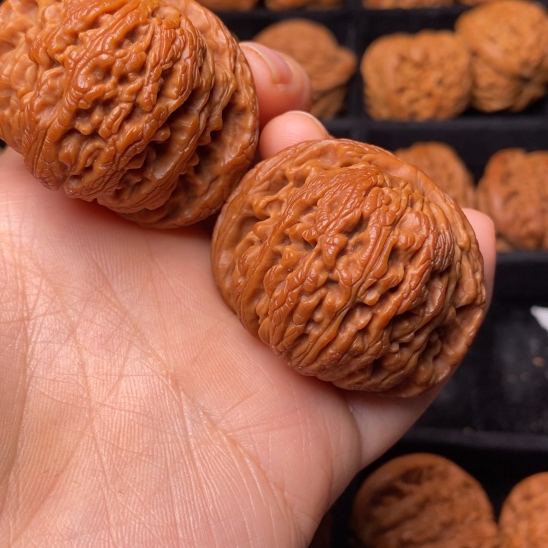 文玩核桃把件秦岭野生核桃