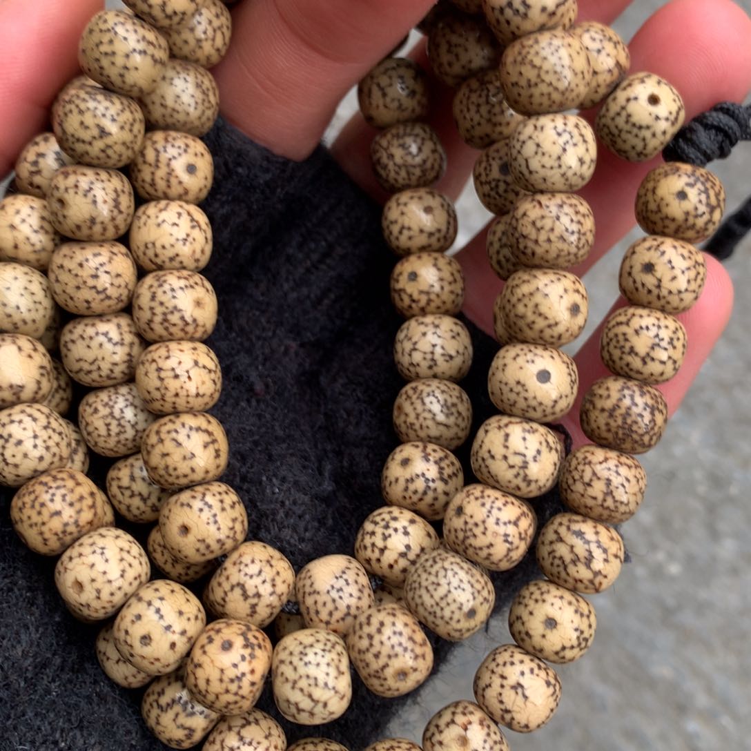 佛螺菩提把件菩提佩珠颗颗精品