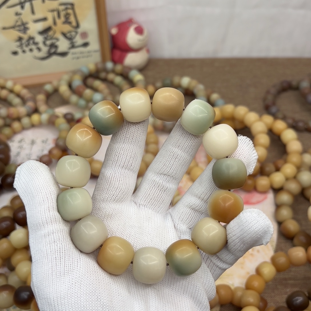 吊坠菩提根/象牙果17+干磨瑕疵落地果190