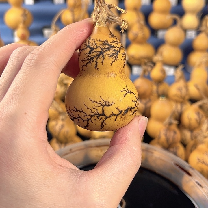 葫芦一物一拍所见即所得，