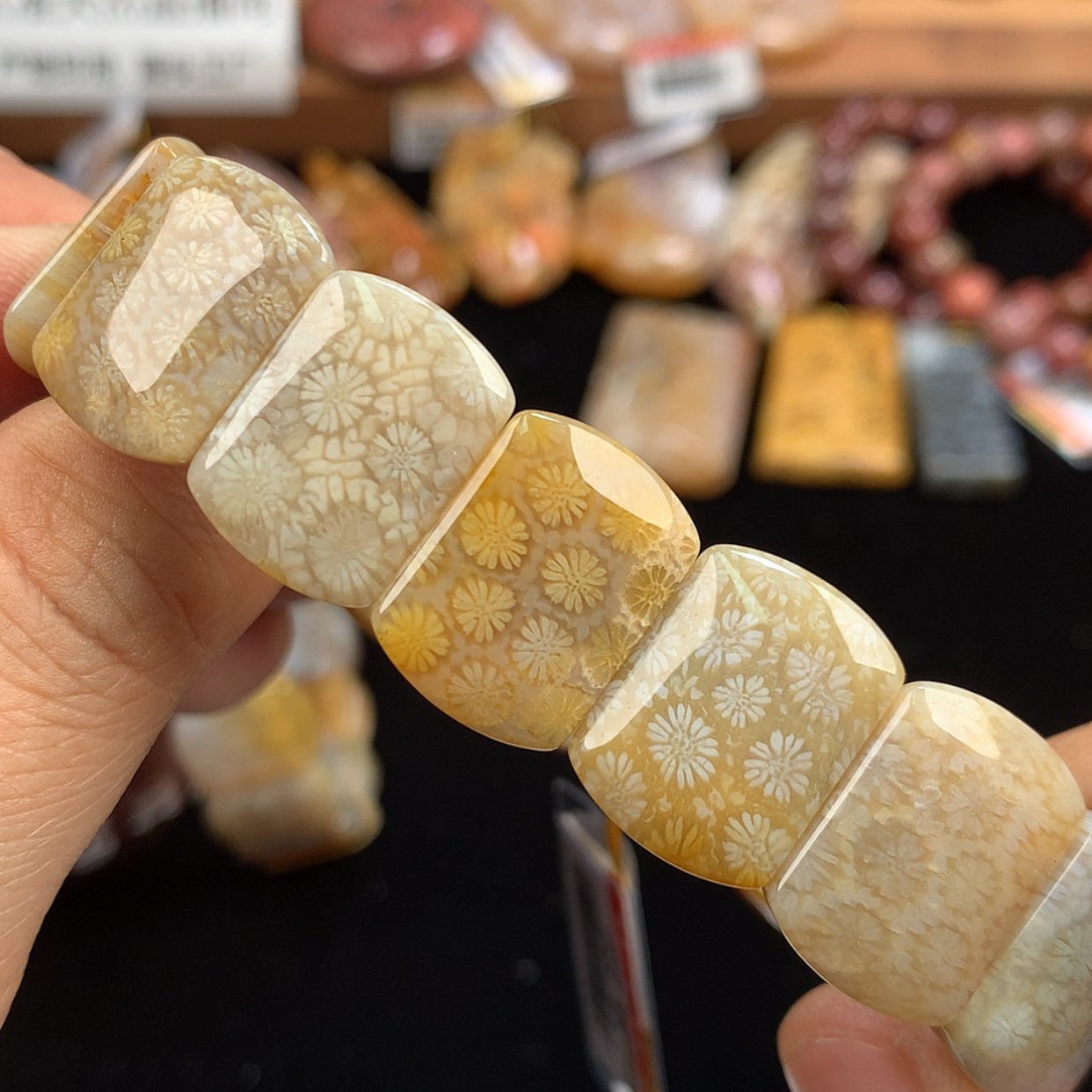 【闪购商品】硅化珊瑚（珊瑚玉）未镶嵌手链