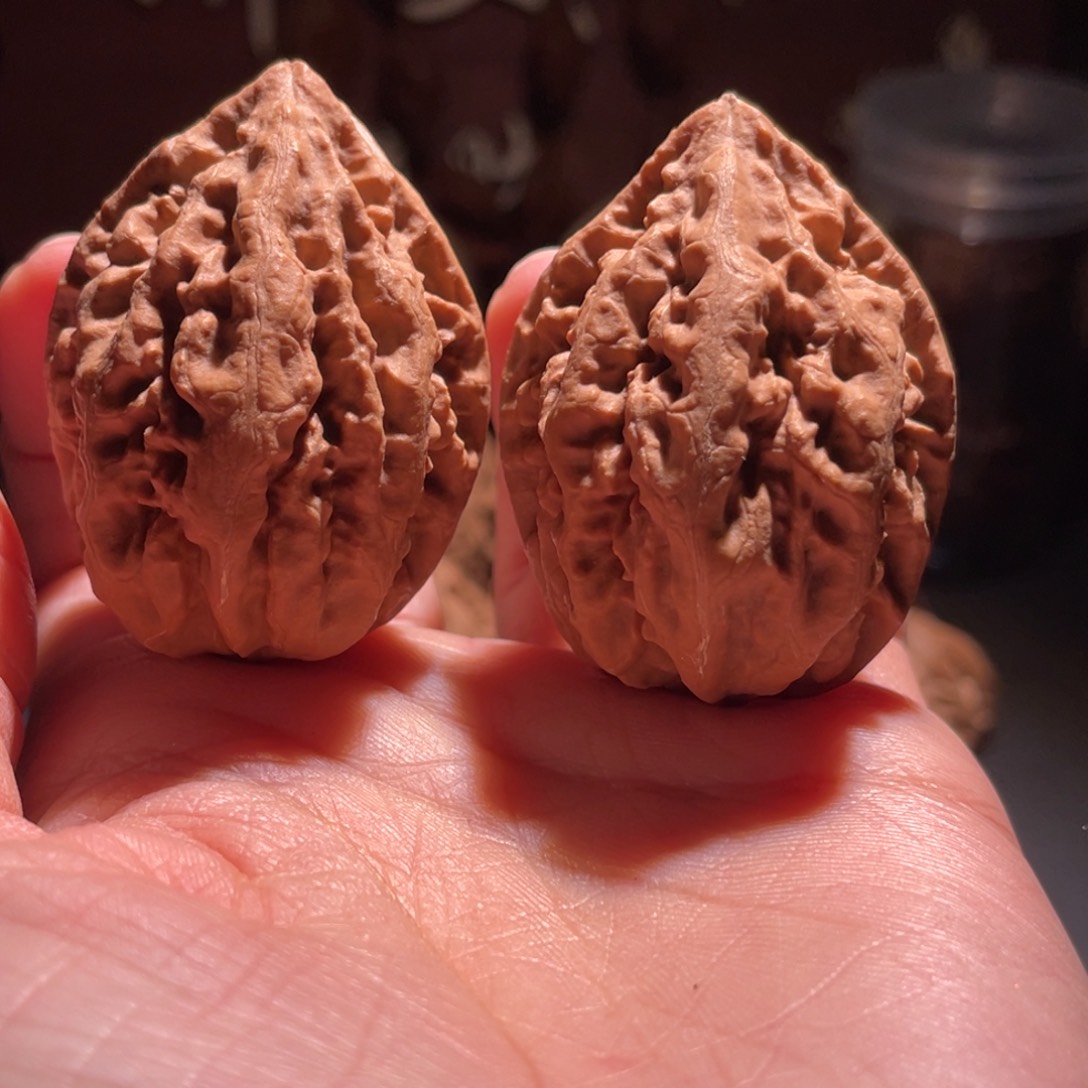 文玩核桃吊坠老树龙纹6