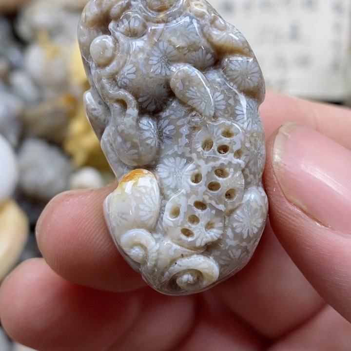 颈饰未镶嵌硅化珊瑚（珊瑚玉）有瑕