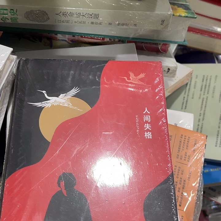 人间失格八米一个