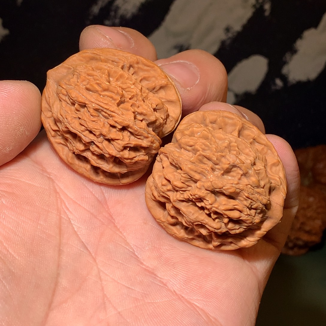 大叶紫檀（黑酸枝木类）文玩核桃虎头40