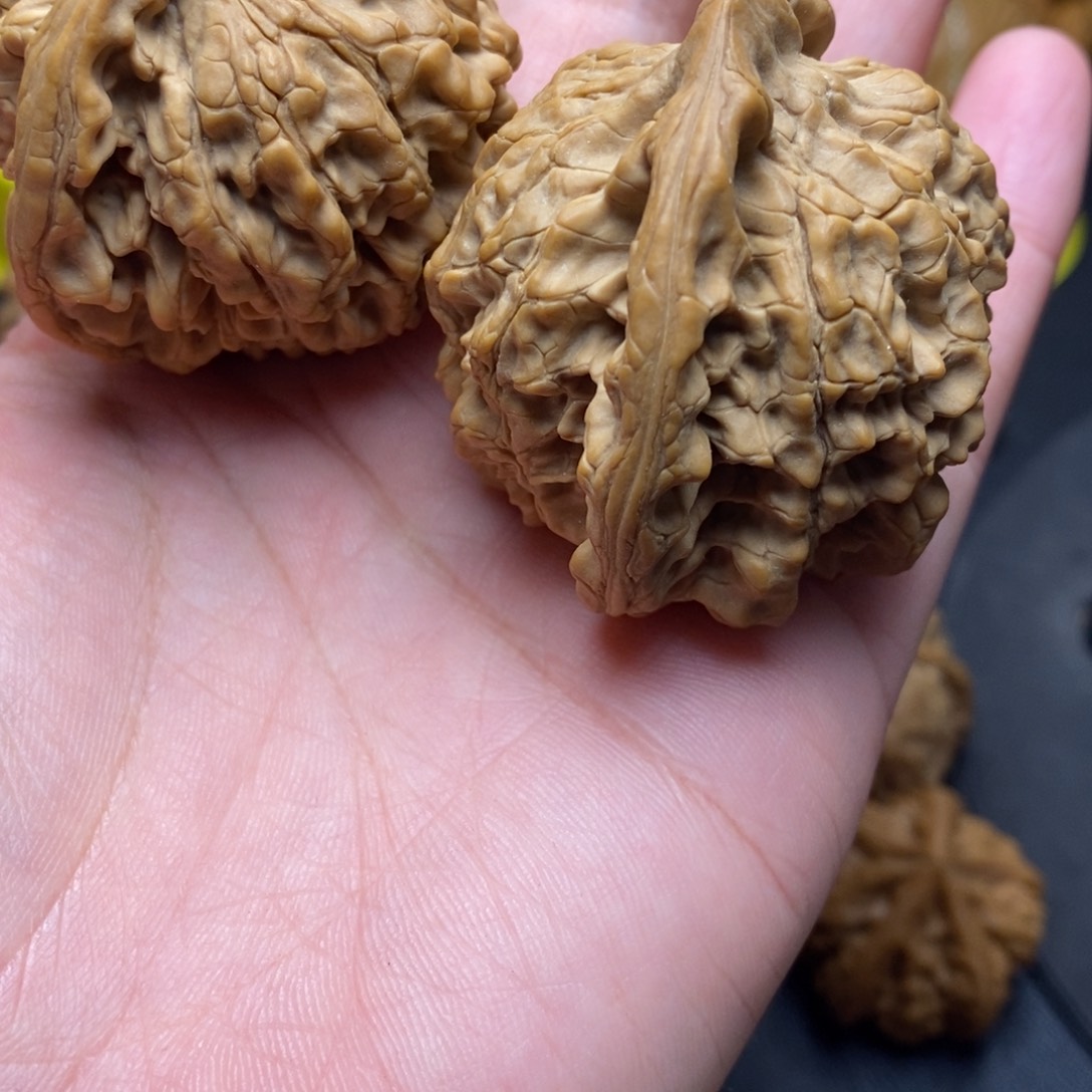 手串/手链核桃哇**哈龙顶官帽