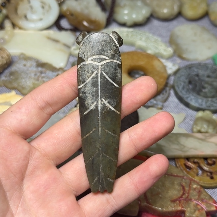 直播放漏专属链接