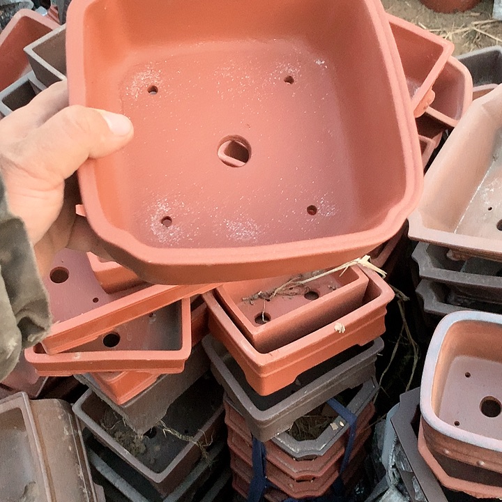 紫砂没有那么好吃我的人生