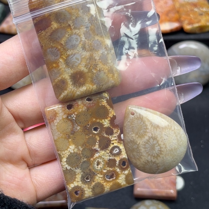 未镶嵌吊坠硅化珊瑚（珊瑚玉）