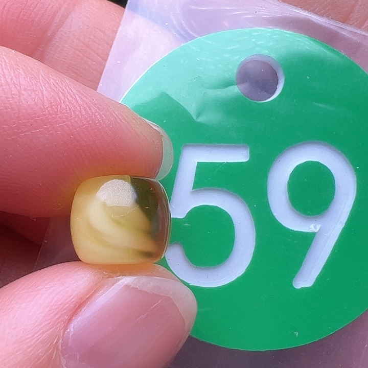 蜜蜡裸石未镶嵌8.8m m