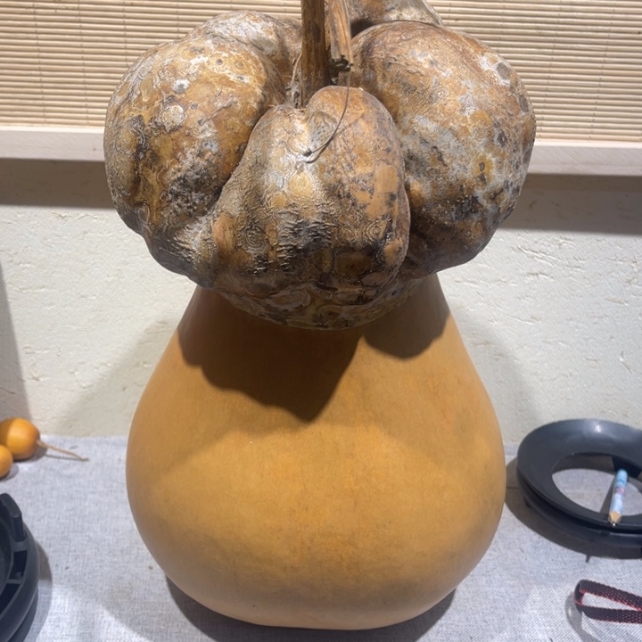 缘***记仿木不包邮不保龙头