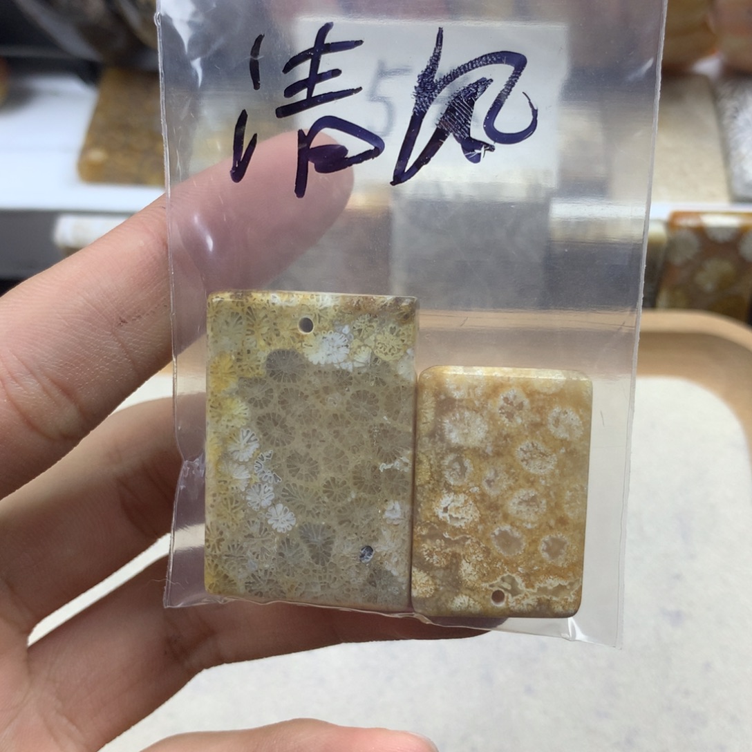 清***卍硅化珊瑚（珊瑚玉）未镶嵌颈饰