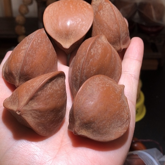 金刚菩提吊坠三楞橄榄6颗 