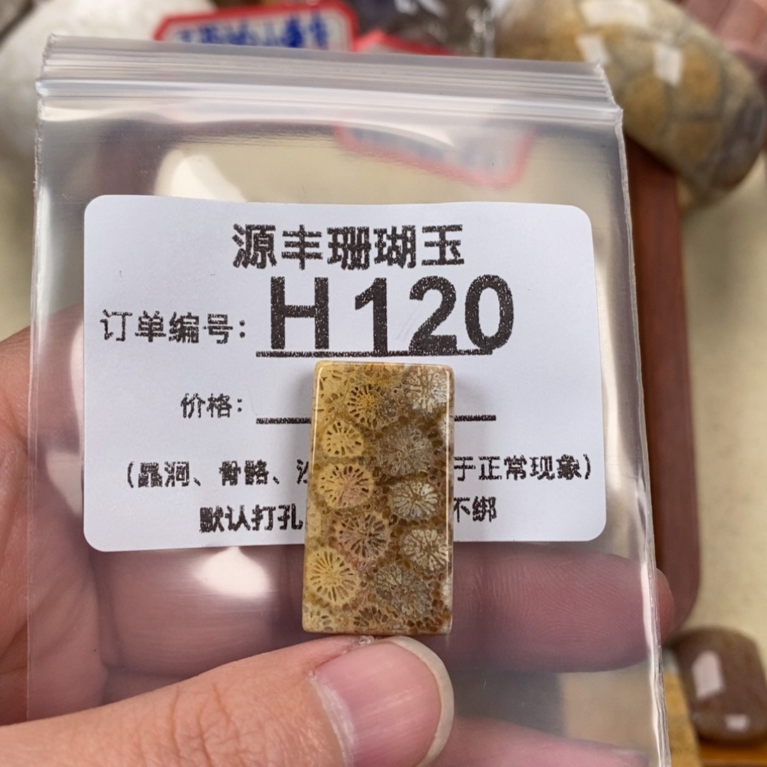 硅化玉颈饰未镶嵌Σ****