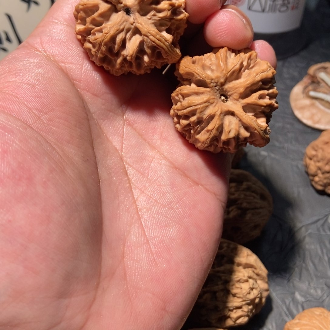 核桃其他@苹果园40全品