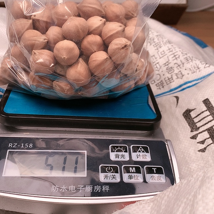 吊坠橄榄核壹***恩苏州橄榄核雕件2.0