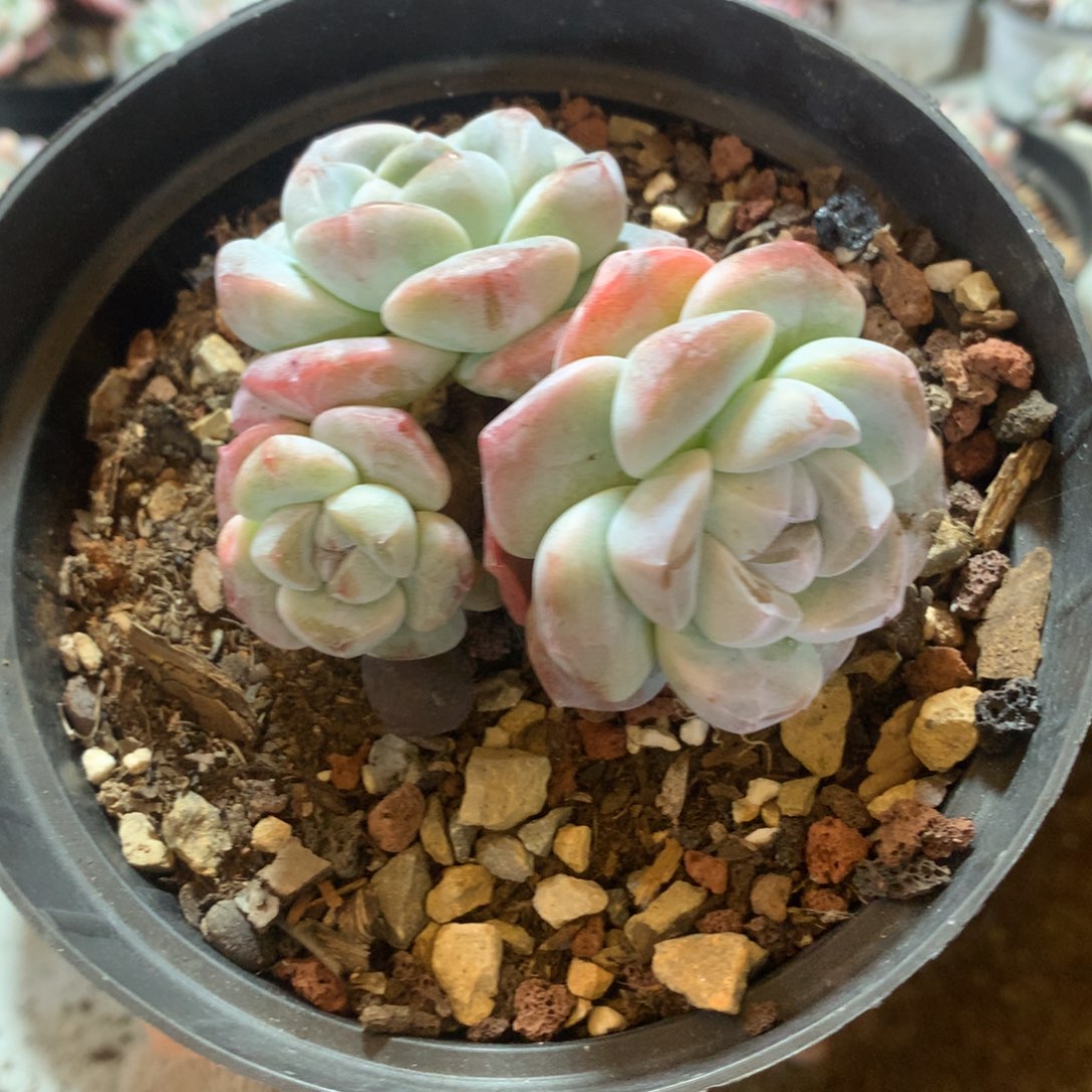 哈哈哈哈哈哈哈哈哈哈