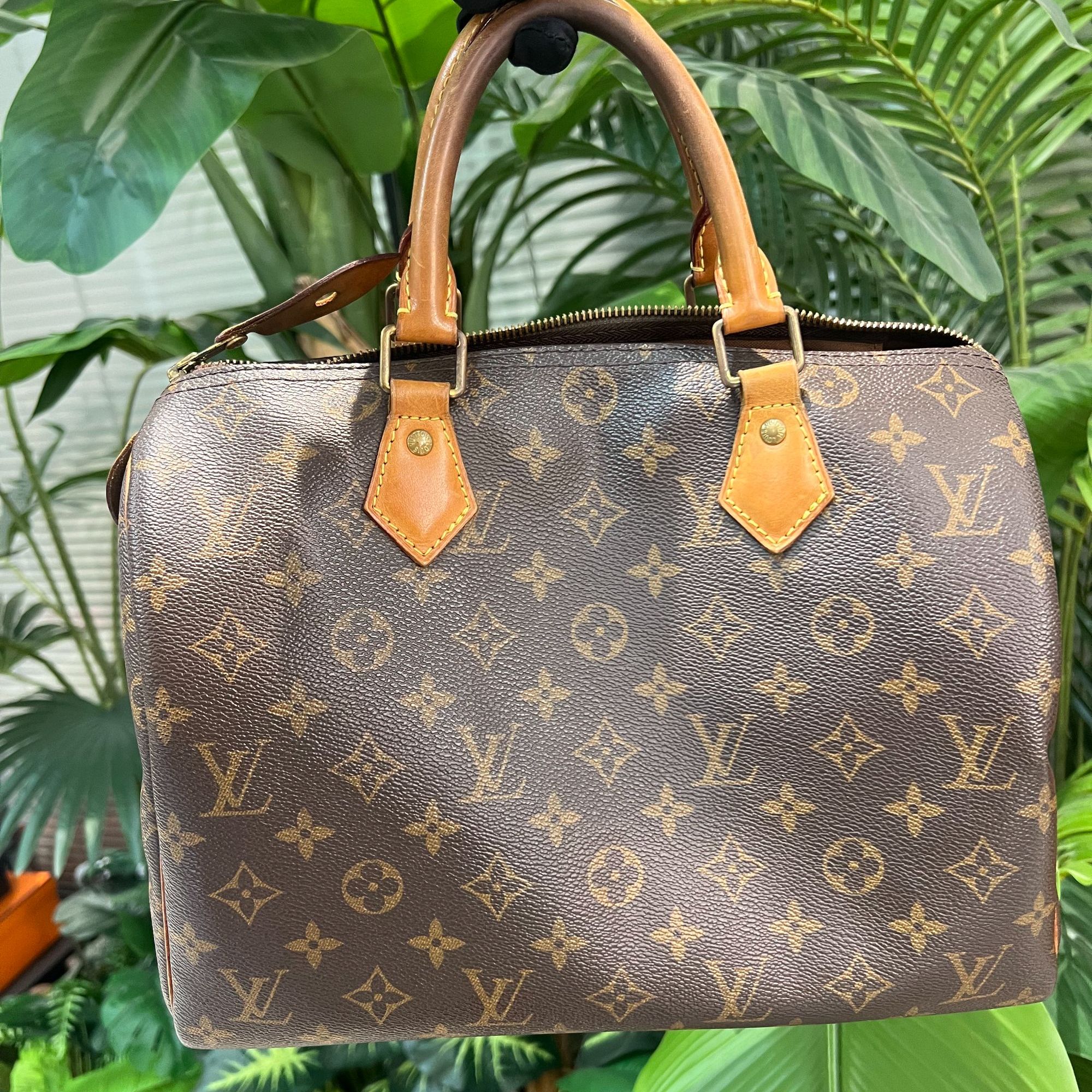 95新 LouisVuitton/路易威登 speedy30老花手提包/NM