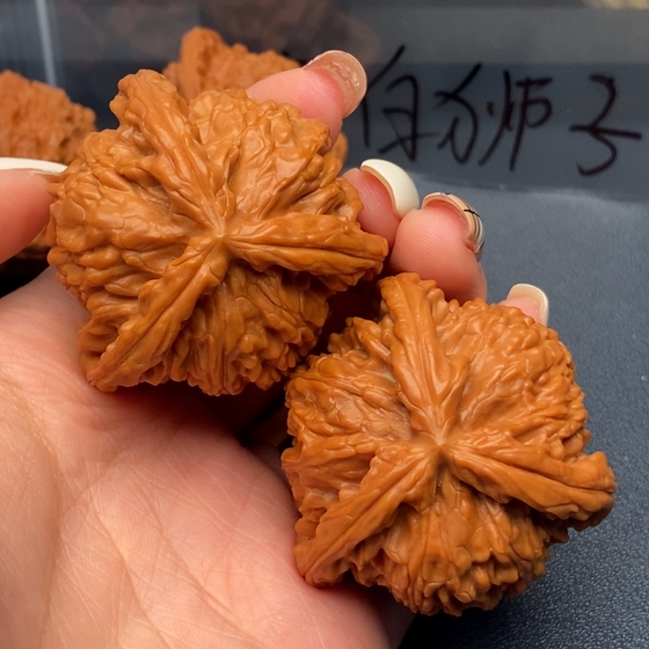 无***克大叶紫檀（黑酸枝木类）白狮子