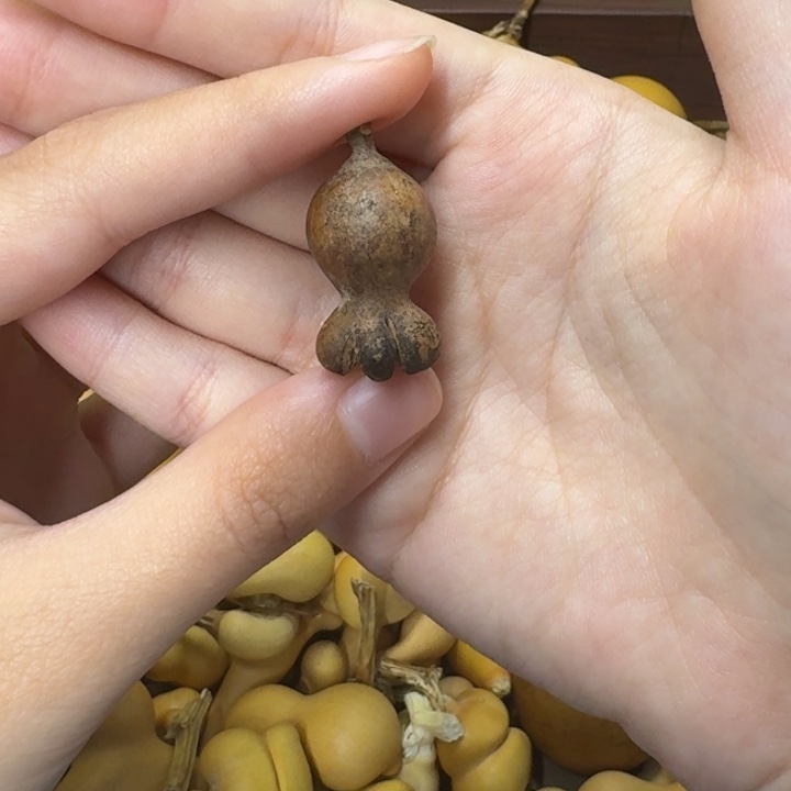 葫芦葫芦葫芦葫芦不包邮