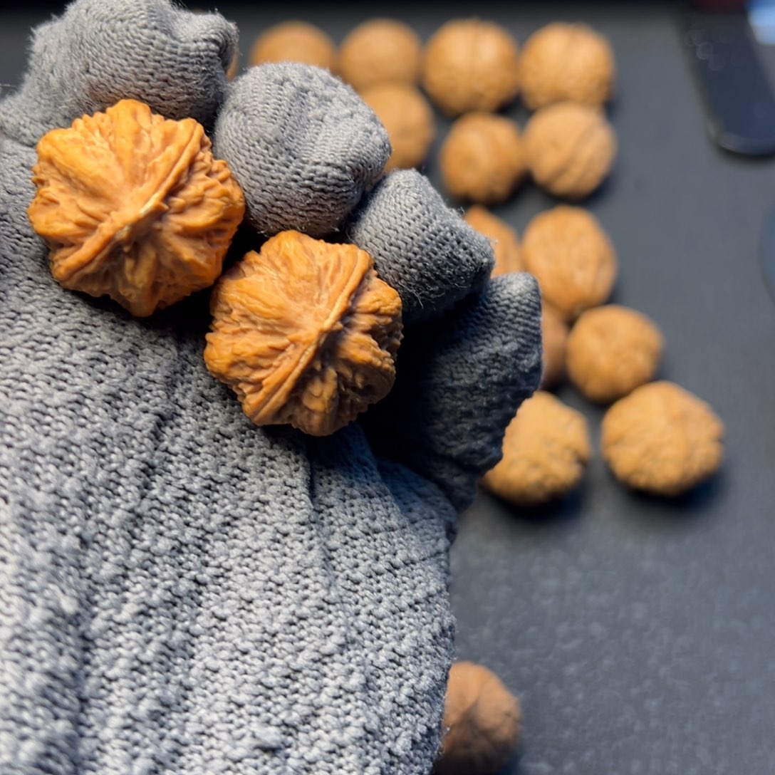 杰***德把件文玩核桃小霸王龙