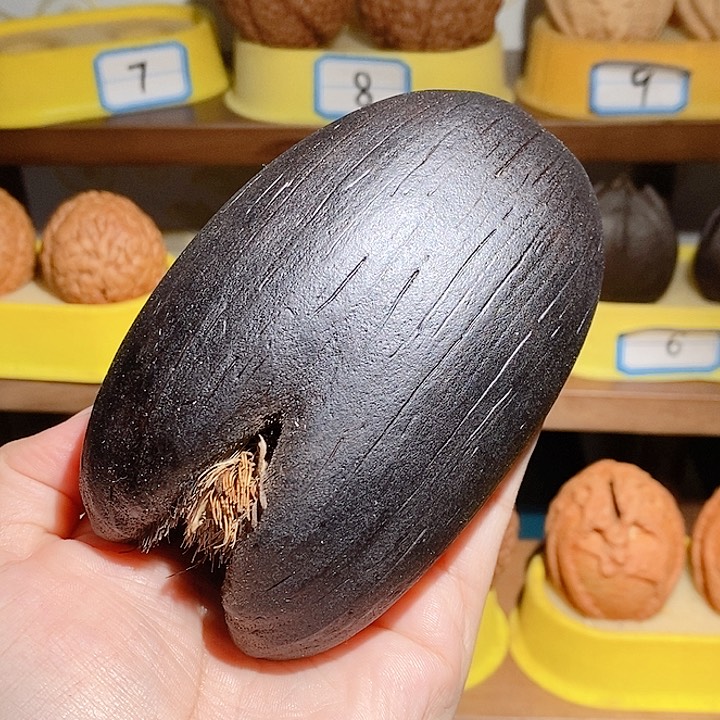 野生海椰子手把件