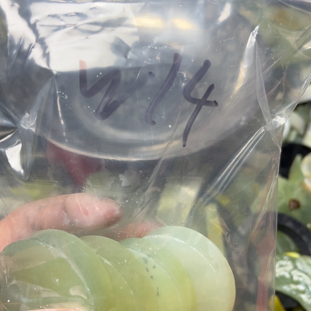 老***马蛇纹石玉未镶嵌岫玉手镯心，平安无事牌