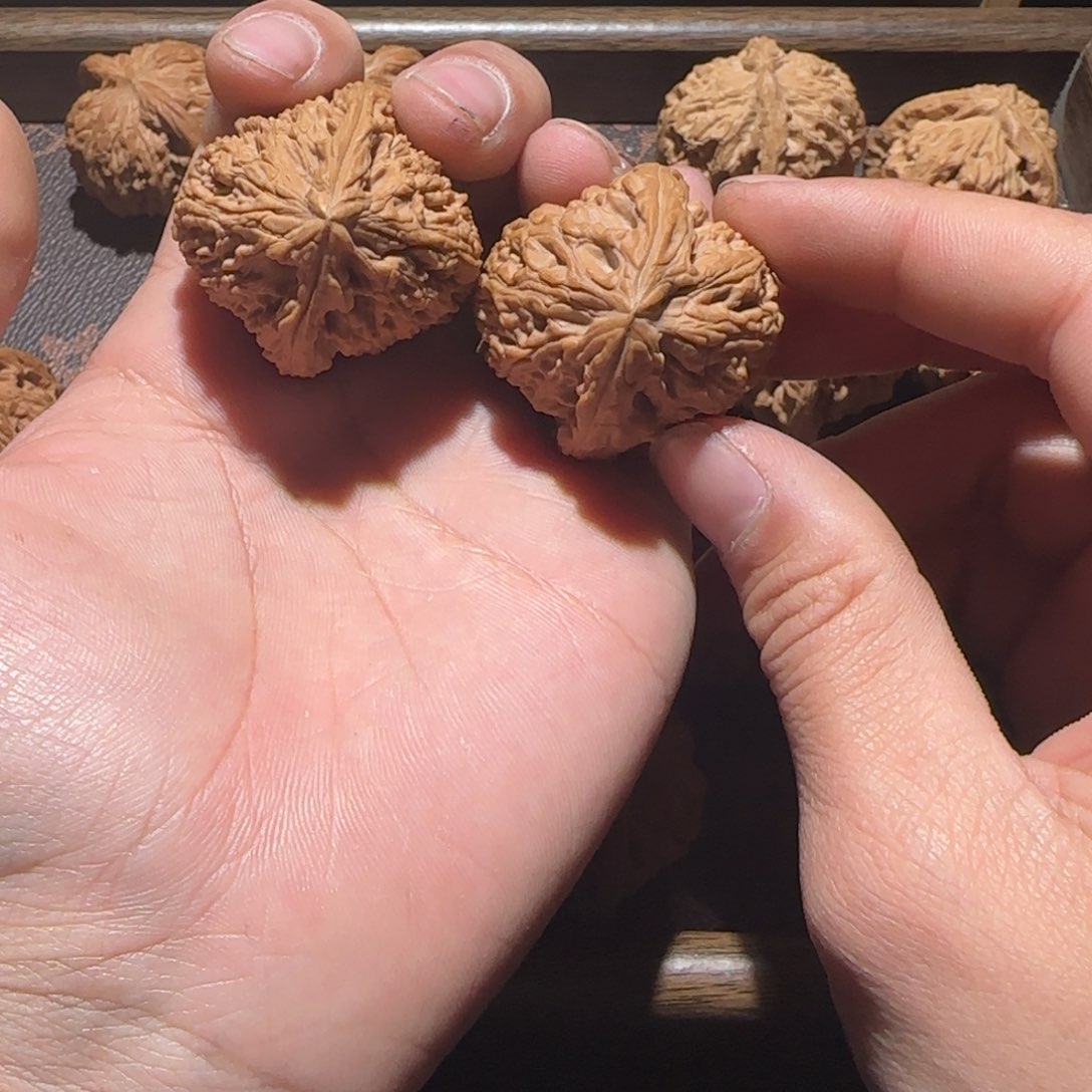 南疆事发后的第一个月里我