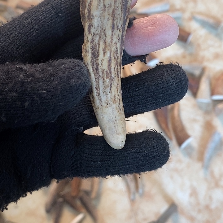 明****大叶紫檀（黑酸枝木类）