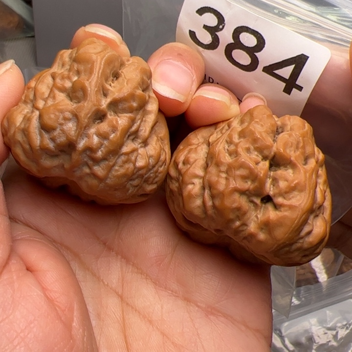 核桃40边42肚尺384号