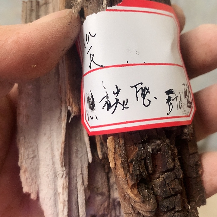 笑***路大叶紫檀（黑酸枝木类）