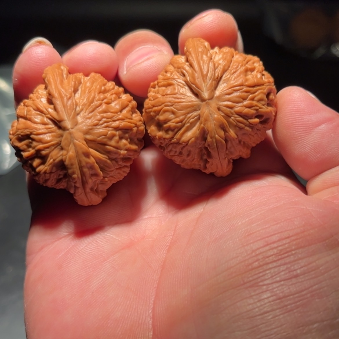【闪购商品】R*9文玩核桃木制手把件