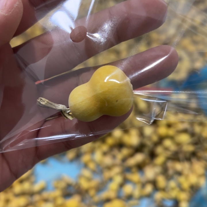 1***9葫芦草里金草里金