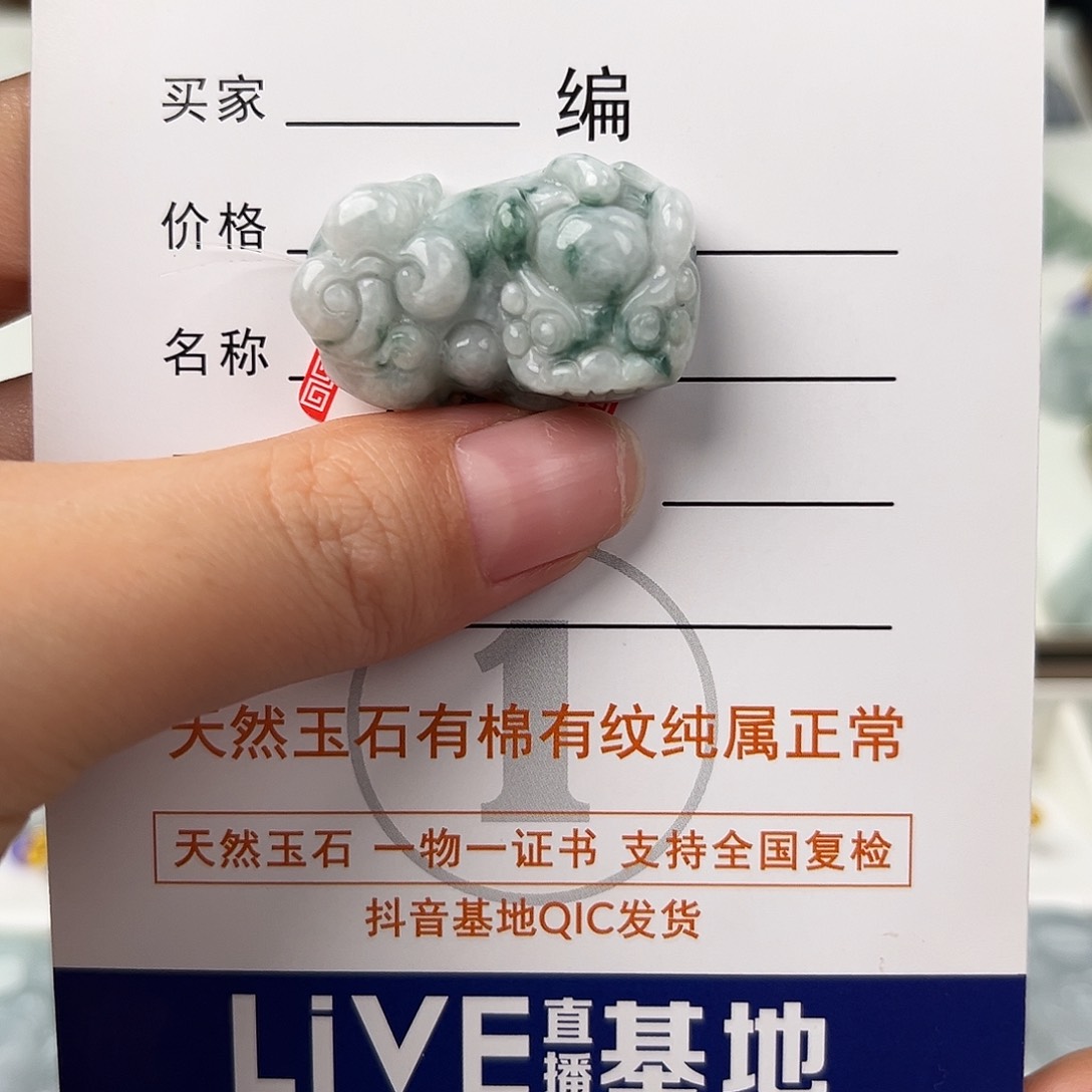 翡翠颈饰未镶嵌貔貅