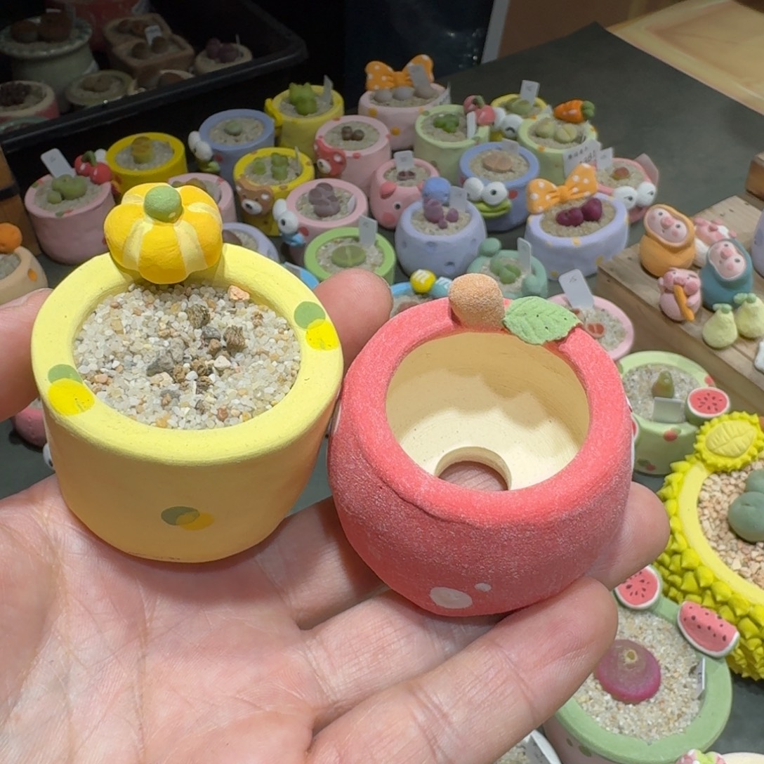 a****蘑菇1403花盆花盆花盆