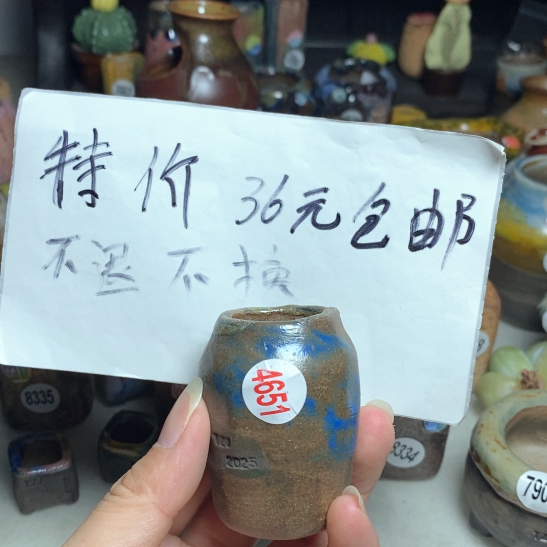 拍5送一个小礼物