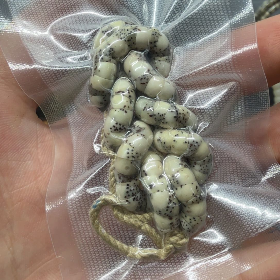 星月菩提手串石玉瓷白大肠6