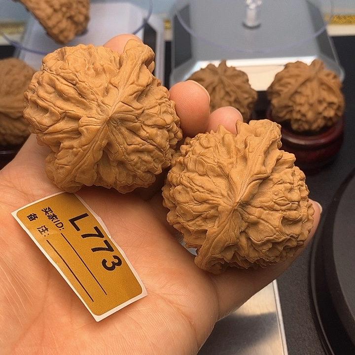 吊坠文玩核桃龙鼎5.2，克重70